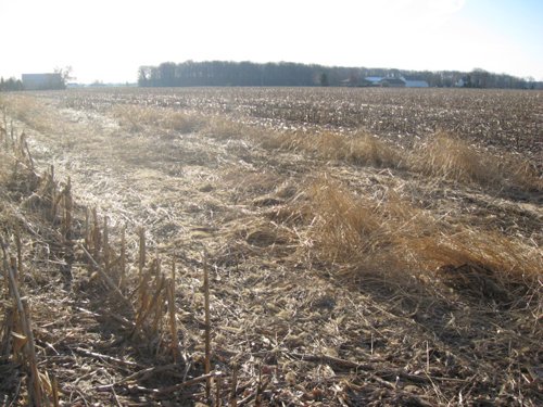 Property photo 8 - 44 Acres Offered in 3 Tracts